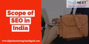 scope of seo in india