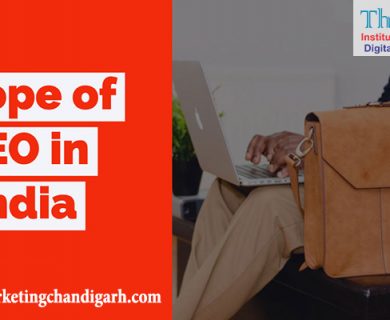 scope of seo in india