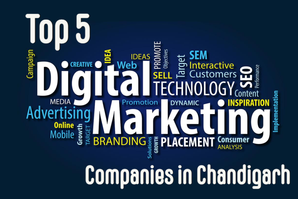Top 5 Digital Marketing Company in Chandigarh